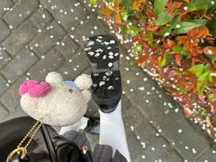 -大泽山风景名胜区