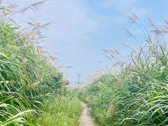 -东极岛景区-青浜岛