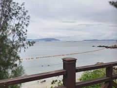 -西澳岛
