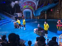 -烟台海昌鲸鲨海洋公园