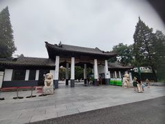 -团结湖公园