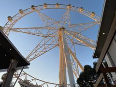 -墨尔本之星 观景摩天轮