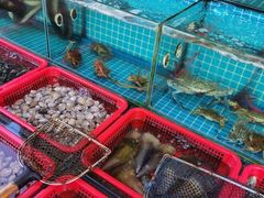 水产区-乡味海鲜农家菜·巽寮土窑鸡(地道美食店)