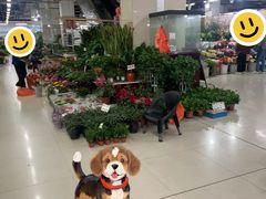 -无锡文化工艺品市场(槐古路店)