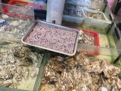 -天鹰观渔(梦园店)