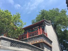 -菖蒲河公园