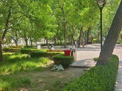 -元大都城垣遗址公园