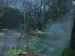 -东莞植物园