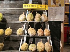 -都念榴莲·城市榴莲