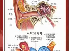 -自然之声助听器·呼吸机(翠微大厦店)