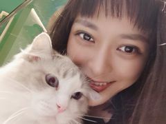 -飞行喵MR PILOT|猫舍·猫咖(静安大融城店)