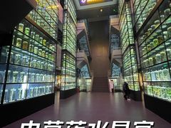 -广东中医药博物馆