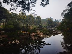 -广西壮族自治区药用植物园