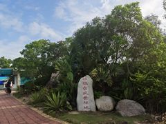 -广东惠东海龟国家级自然保护区
