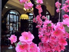 -朝花夕拾中餐厅(台儿庄古城复兴广场店)