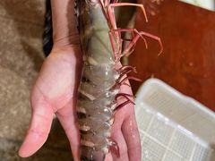 -霞山水产品批发市场