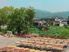 -呈坎景区