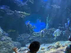 -华夏文旅海洋公园