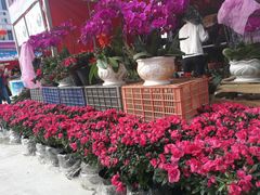 -深圳市罗湖体育馆