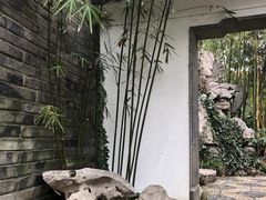 -静安公园(静安寺街道)