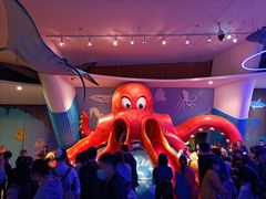 -贝林大翅鲸简餐厅(国家海洋博物馆店)