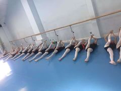 -西安小天鹅艺术团(曲江Alice店)