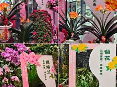 -正佳雨林生态植物园