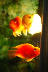 店内环境-老黑造型