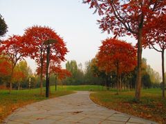 -长安大学(北校区)