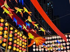 -铁像寺水街