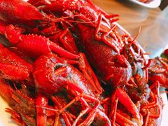 -嘉定凯悦·咖啡厅