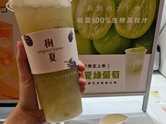 -树夏(锦里店)