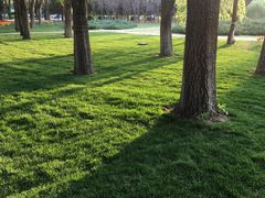 -长春公园(普阳街道)