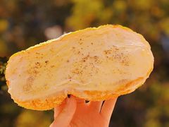 火焰榴莲-木子木水日式烫面包(世界城光谷店)