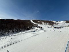 -密苑云顶乐园(云顶滑雪场)