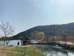 -龙寺生态园
