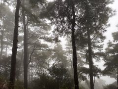 -敬亭山风景名胜区