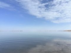 -民杨抓饭(柏香苑店)