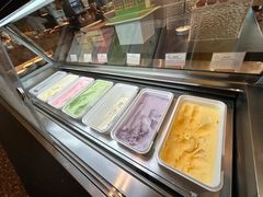-怡聚轩全日制自助餐厅(大中华喜来登酒店)