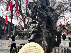 -大槐树寻根祭祖园