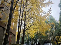 -重庆工商大学(南岸校区)