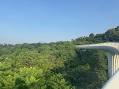 -飞凤山奥体公园