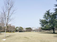 -青枫公园