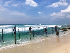 -尼甘布海鲜市场