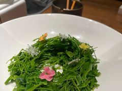 -王府茶楼茶宴·创意菜(朝阳公园店)