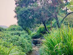 -中国茶叶博物馆(双峰馆区)