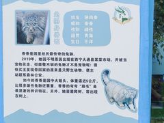 -青藏高原野生动物园