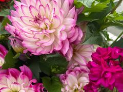 -上海植物园-4号门售票处