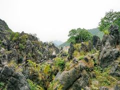 -玉石林风景区
