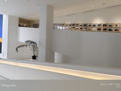 -罗红摄影艺术馆